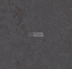 Линолеум Forbo Marmoleum Decibel on Order 372535 cosmos фото 1 | FLOORDEALER